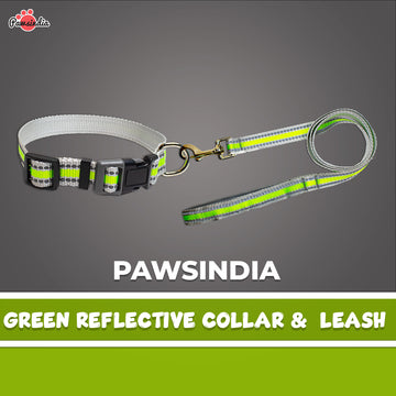 Pawsindia Reflective Nylon Collar & Leash set for Small Dogs - Green